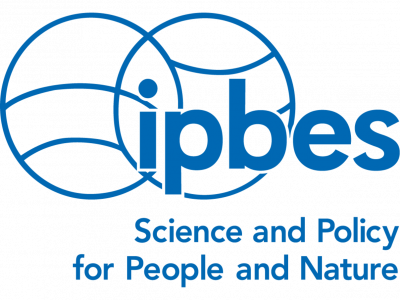 IPBES to Host Online Quarterly Stakeholder Meeting on 4 June